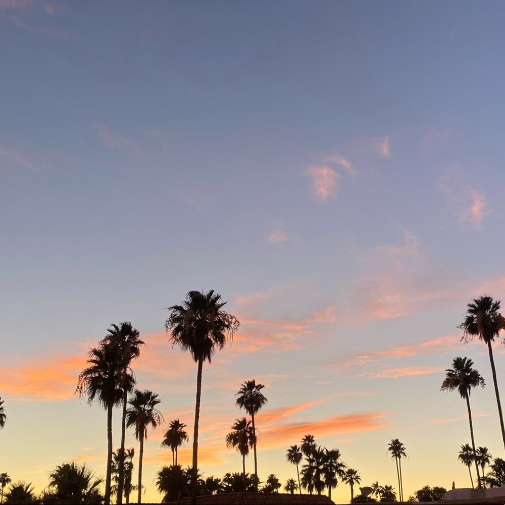 Meet your Posher, Jordan